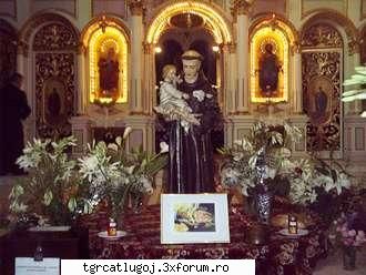 sf. anton padova (cum fost lugoj) tocmai deschis topic dedicat acestei sarbatori (si daca vreti sf. Admin