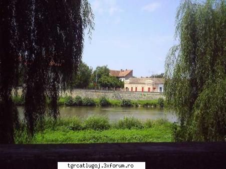 am facut-o chiar acuma duminica pe 17. dupa sf. liturghie cand am iesit de la biserica ...  lugojul