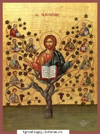 problemele bisericii! acest topic deschid sugestia dan, care recomand, pentru devia discutiile din