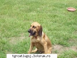 Anastasia's hyper activities..:))) - aici tot ea..da scoate si limba...:) - ARHIVA ACESTUI FORUM